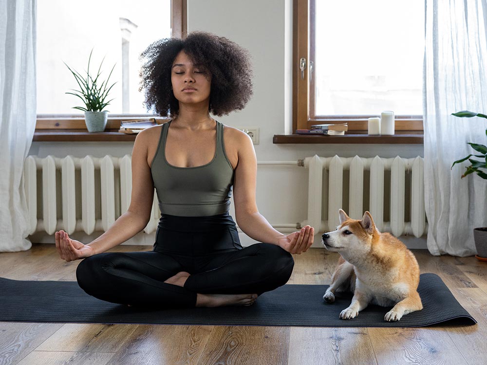 kutyus és a meditálás